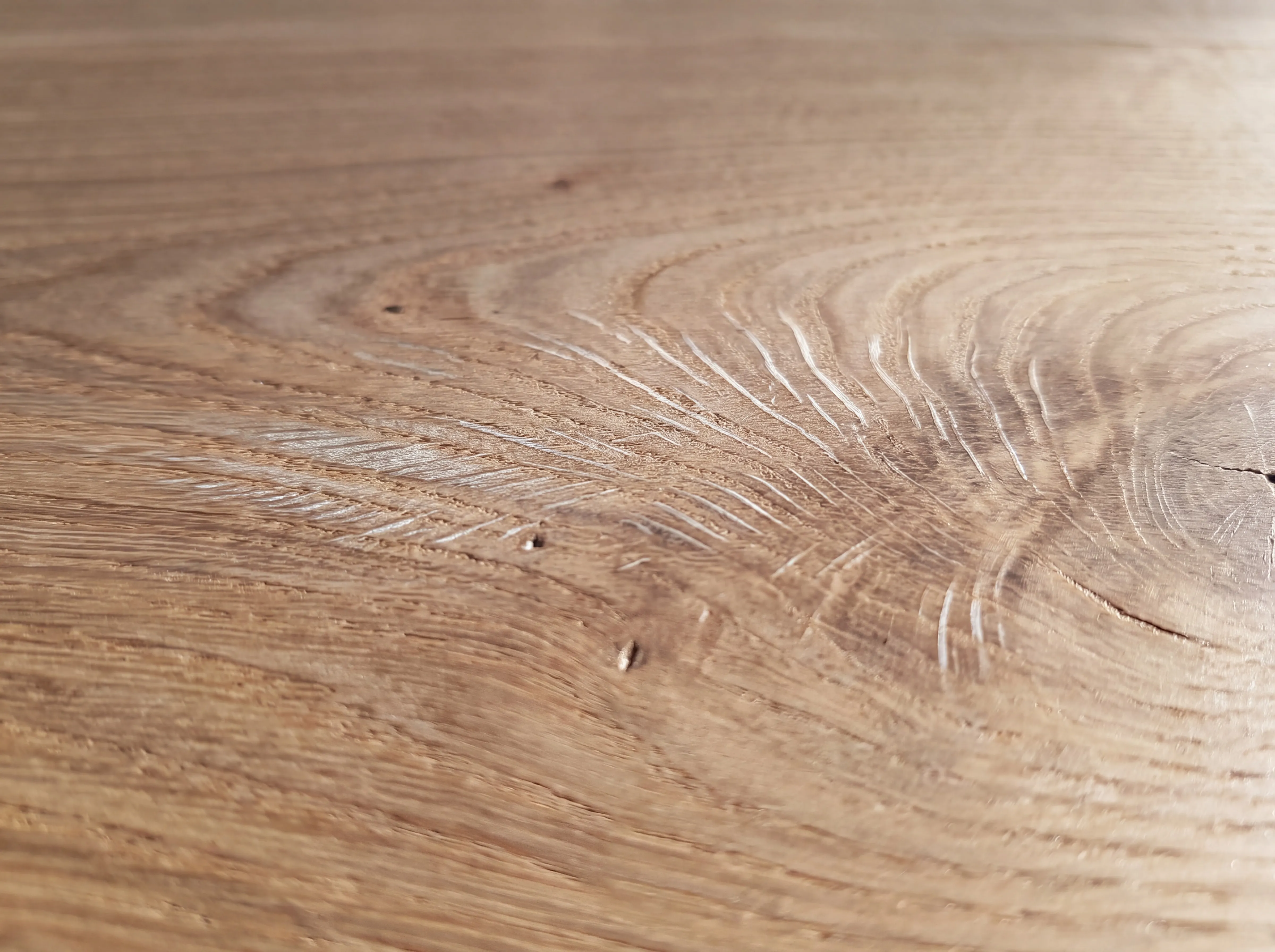 A macro study of sanded European oak, grain running the full frame