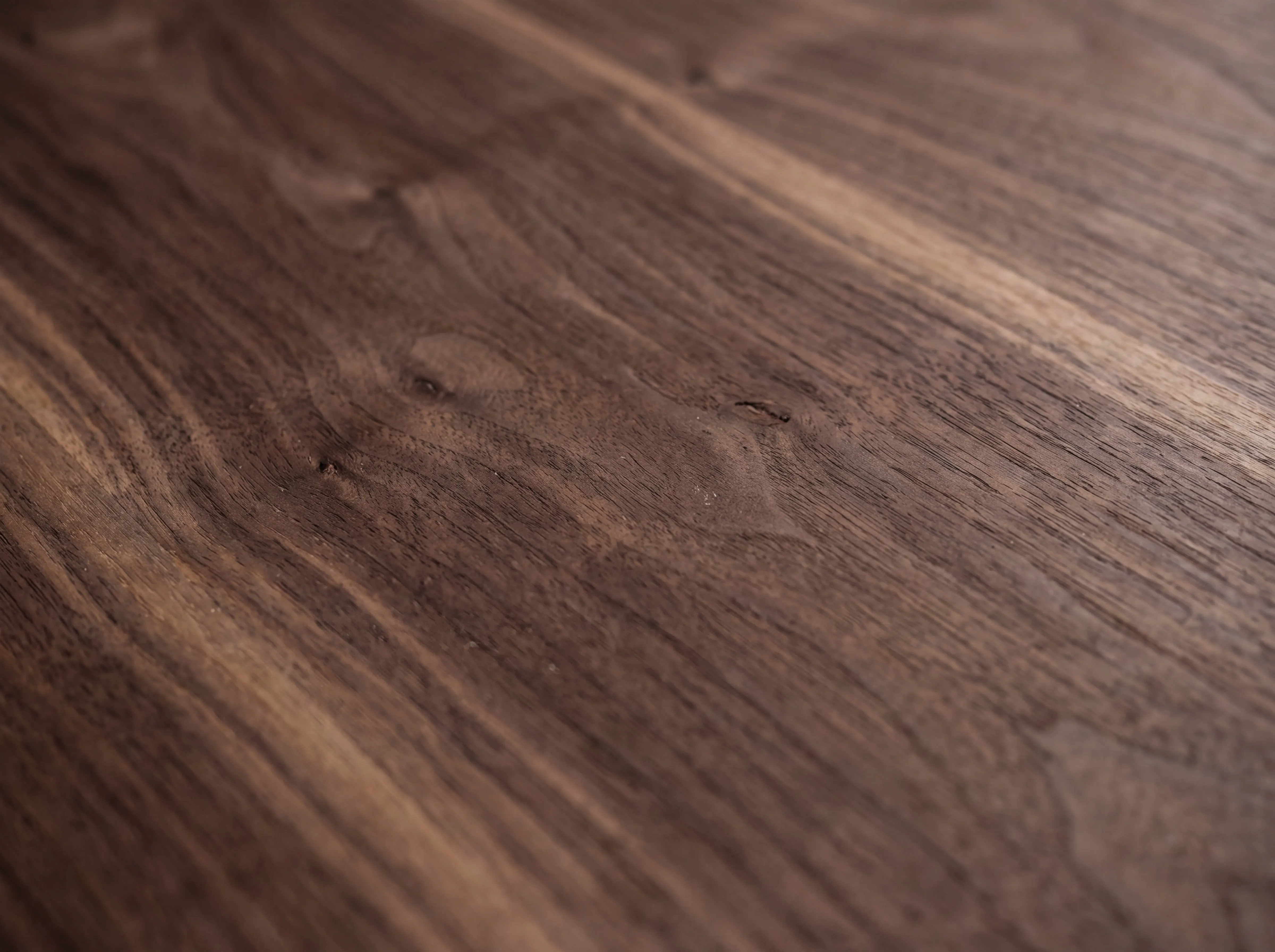 A macro study of American black walnut, dark chocolate grain with paler sapwood streaks